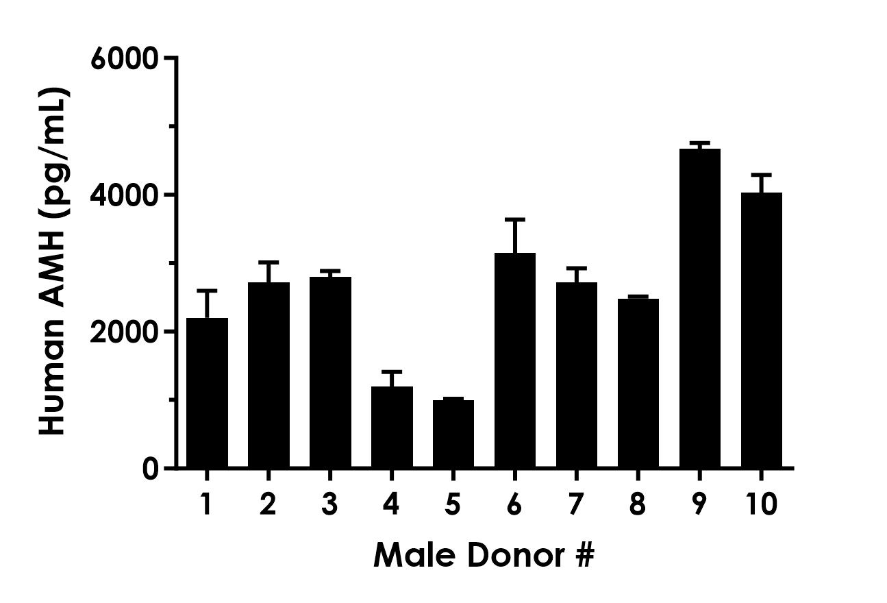 Sandwich ELISA - Human AMH ELISA Kit (AB318930)