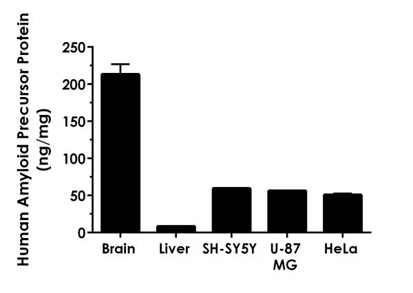 Sandwich ELISA - Human Amyloid Precursor Protein ELISA Kit, Chemiluminescent (AB326890)
