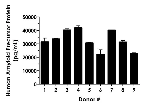 Sandwich ELISA - Human Amyloid Precursor Protein ELISA Kit, Chemiluminescent (AB326890)