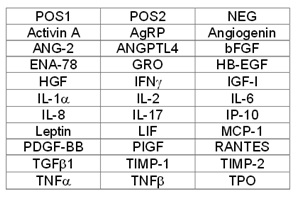 Multiplex Protein Detection - Human Angiogenesis Antibody Array A (30 Targets) - Quantitative (AB197420), expandable thumbnail