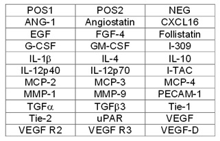 Multiplex Protein Detection - Human Angiogenesis Antibody Array B (30 Targets)- Quantitative (AB197421), expandable thumbnail
