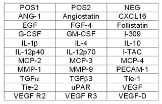 Multiplex Protein Detection - Human Angiogenesis Antibody Array B (30 Targets)- Quantitative (AB197421)