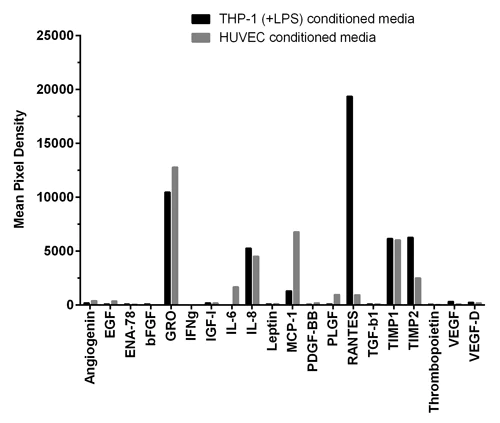 ELISA - Human Angiogenesis Antibody Array - Membrane (20 Targets) (AB134000)