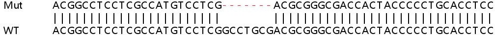 Sanger Sequencing - Human ANKRD13A knockout HeLa cell line (AB265254)