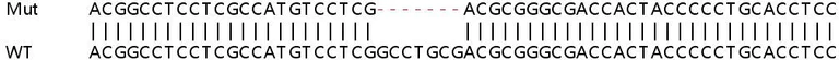 Sanger Sequencing - Human ANKRD13A knockout HeLa cell line (AB265254)
