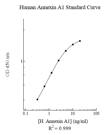 Sandwich ELISA - Human Annexin A1 ELISA Kit (AB222868)