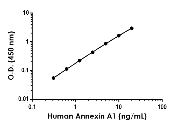 Sandwich ELISA - Human Annexin A1 ELISA Kit (AB267808)