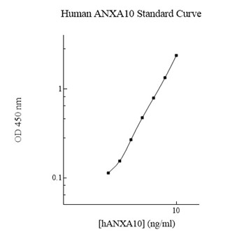 Sandwich ELISA - Human Annexin A10 ELISA Kit (AB222869)