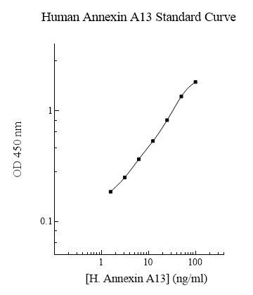 Sandwich ELISA - Human Annexin-A13/ANXA13 ELISA Kit (AB283992)
