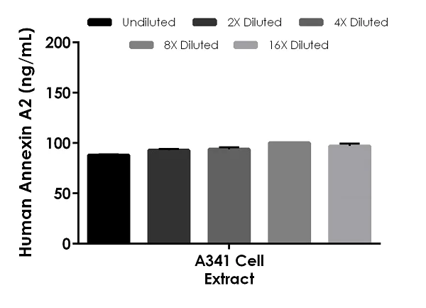 Sandwich ELISA - Human Annexin A2 ELISA Kit (AB264612)