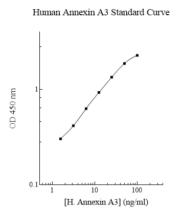 Sandwich ELISA - Human Annexin A3/ANXA3 ELISA Kit (AB283976)