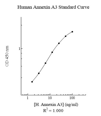 Sandwich ELISA - Human Annexin A3/ANXA3 ELISA Kit (AB283976)