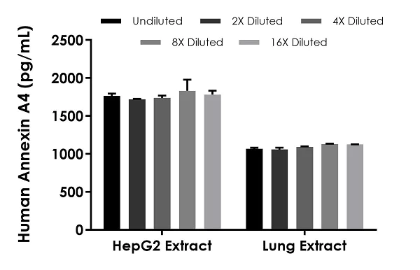 Sandwich ELISA - Human Annexin A4 ELISA Kit (ANXA4) (AB272212)