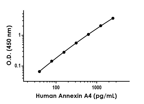Sandwich ELISA - Human Annexin A4 ELISA Kit (ANXA4) (AB272212)