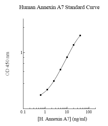 Sandwich ELISA - Human Annexin-A7/ANXA7 ELISA Kit (AB283993)