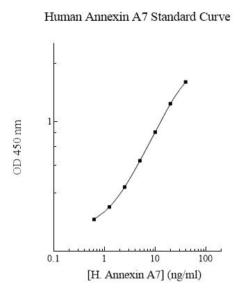 Sandwich ELISA - Human Annexin-A7/ANXA7 ELISA Kit (AB283993)
