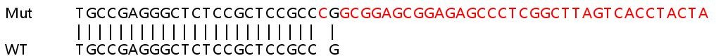 Sanger Sequencing - Human ANTXR1 (TEM8/ATR) knockout HeLa cell lysate (AB257350), expandable thumbnail