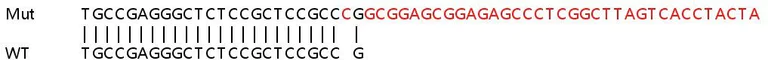 Sanger Sequencing - Human ANTXR1 (TEM8/ATR) knockout HeLa cell lysate (AB257350)