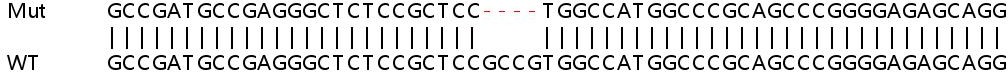 Sanger Sequencing - Human ANTXR1 (TEM8/ATR) knockout HeLa cell lysate (AB257350), expandable thumbnail