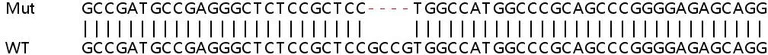 Sanger Sequencing - Human ANTXR1 (TEM8/ATR) knockout HeLa cell lysate (AB257350)