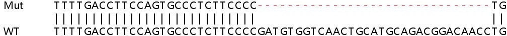 Sanger Sequencing - Human AP1B1 knockout HEK-293T cell lysate (AB263089), expandable thumbnail