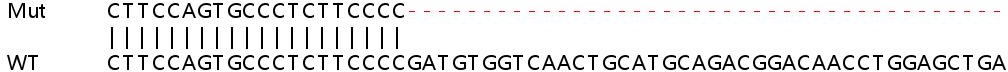 Sanger Sequencing - Human AP1B1 knockout HEK-293T cell lysate (AB263089), expandable thumbnail