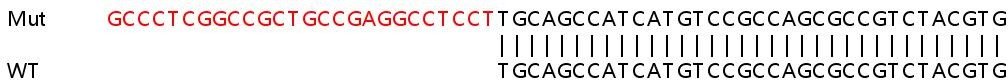 Sanger Sequencing - Human AP1M1 knockout HeLa cell lysate (AB258783), expandable thumbnail