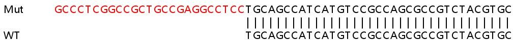 Sanger Sequencing - Human AP1M1 knockout HeLa cell lysate (AB258783), expandable thumbnail