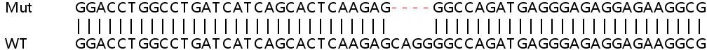 Sanger Sequencing - Human APBB1 (FE65) knockout HEK-293T cell line (AB267294), expandable thumbnail
