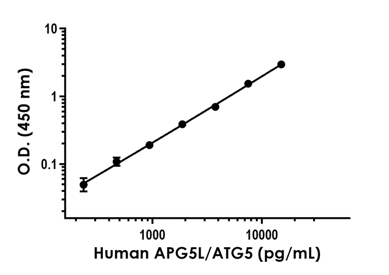 Sandwich ELISA - Human APG5L/ATG5 ELISA Kit (AB288583)
