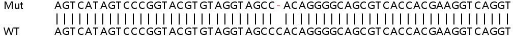 Sanger Sequencing - Human APLNR (APJ Receptor) knockout HeLa cell line (AB264732)
