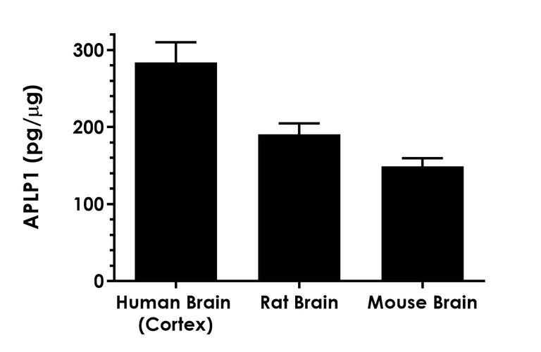 Sandwich ELISA - Human APLP1 ELISA Kit - Intracellular (AB309110)