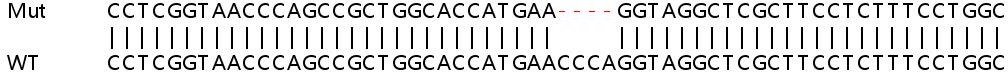 Sanger Sequencing - Human APOL2 knockout A549 cell lysate (AB258307), expandable thumbnail