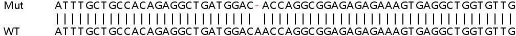 Human APOL6 knockout A549 cell lysate