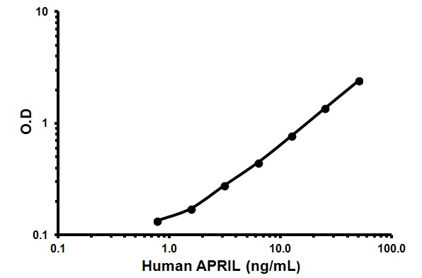 Sandwich ELISA - Human APRIL ELISA Kit (AB119505)