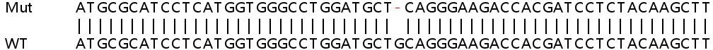 Sanger Sequencing - Human ARF1 knockout HeLa cell lysate (AB257353), expandable thumbnail