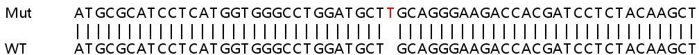 Sanger Sequencing - Human ARF1 knockout HeLa cell lysate (AB257353), expandable thumbnail
