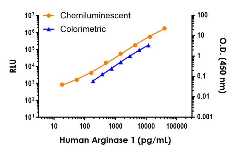 Sandwich ELISA - Human Arginase 1 ELISA Kit, Chemiluminescent (AB326309)