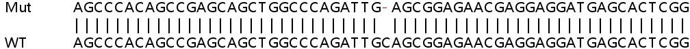 Sanger Sequencing - Human ARHGDIA (RhoGDI) knockout HEK-293T cell lysate (AB257356), expandable thumbnail