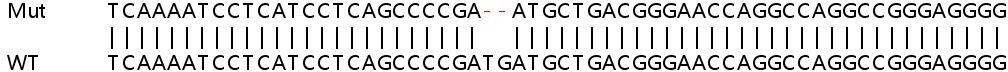 Sanger Sequencing - Human Arhgef1 (p115-RhoGEF) knockout HEK-293T cell lysate (AB257842), expandable thumbnail