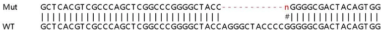 Sanger Sequencing - Human ARID1A knockout HEK-293T cell line (AB266189)