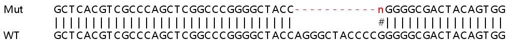 Sanger Sequencing - Human ARID1A knockout HEK-293T cell lysate (AB257250), expandable thumbnail