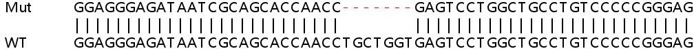 Sanger Sequencing - Human ARL6IP1 knockout HEK-293T cell lysate (AB258313)
