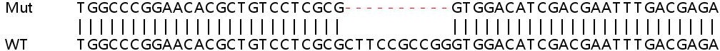 Sanger Sequencing - Human ARPC5L knockout HEK-293T cell line (AB266399), expandable thumbnail