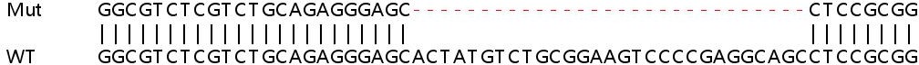 Sanger Sequencing - Human ARPP19 knockout HEK-293T cell line (AB266093)
