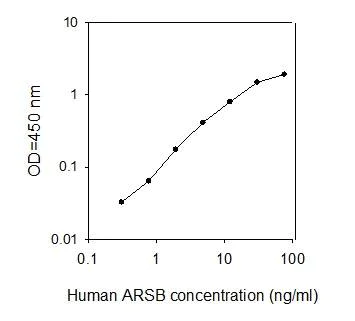 ELISA - Human ARSB ELISA Kit (AB277466)