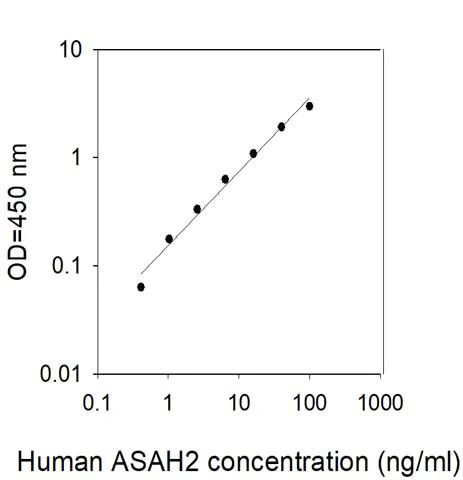 Sandwich ELISA - Human ASAH2 ELISA Kit (AB313510)