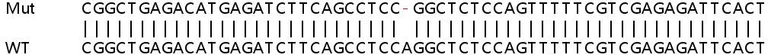 Sanger Sequencing - Human ASAP1 (DDEF1) knockout HeLa cell line (AB265796)
