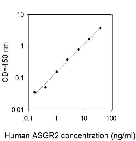 Sandwich ELISA - Human ASGR2 ELISA Kit (AB309406)