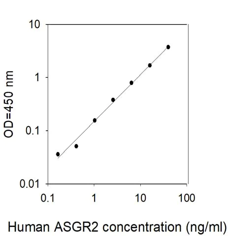 Sandwich ELISA - Human ASGR2 ELISA Kit (AB309406)